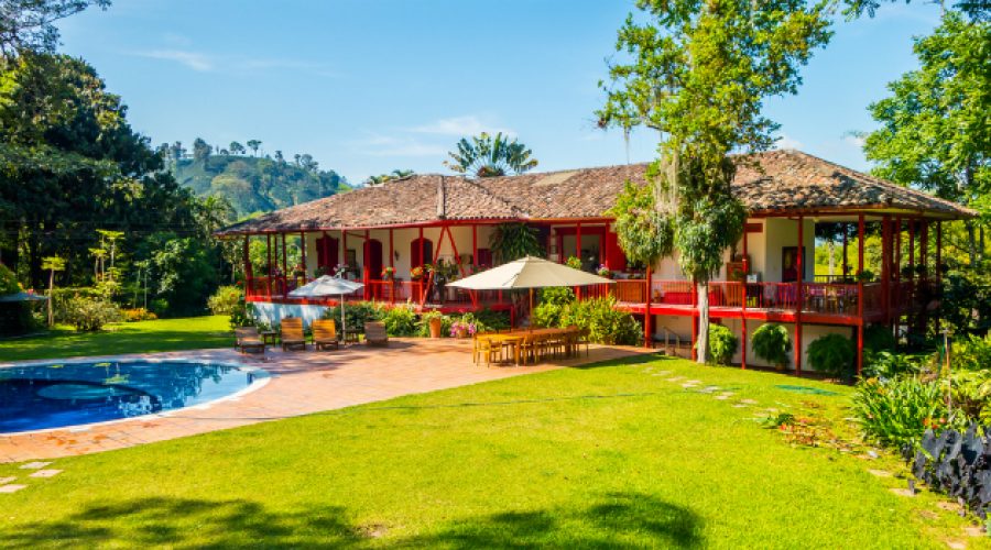 Amanecer entre cafetales en el Quindío